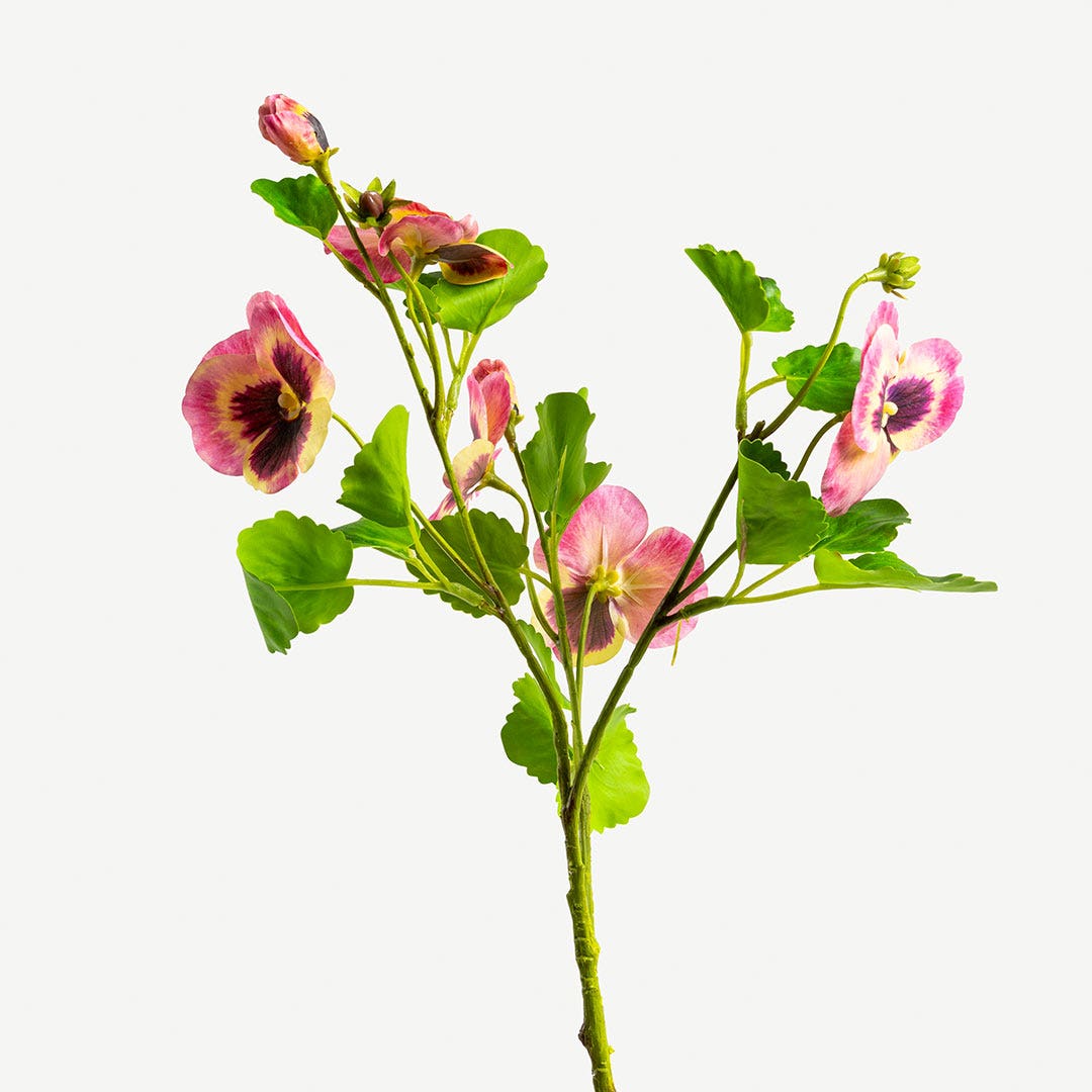 Pansy Flower Set Pastel Red