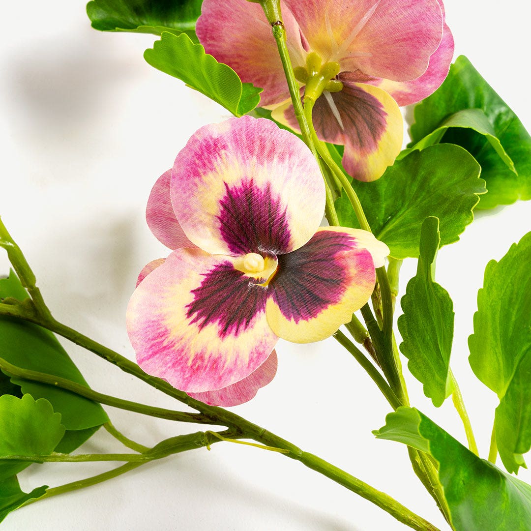 Pansy Flower Set Pastel Red