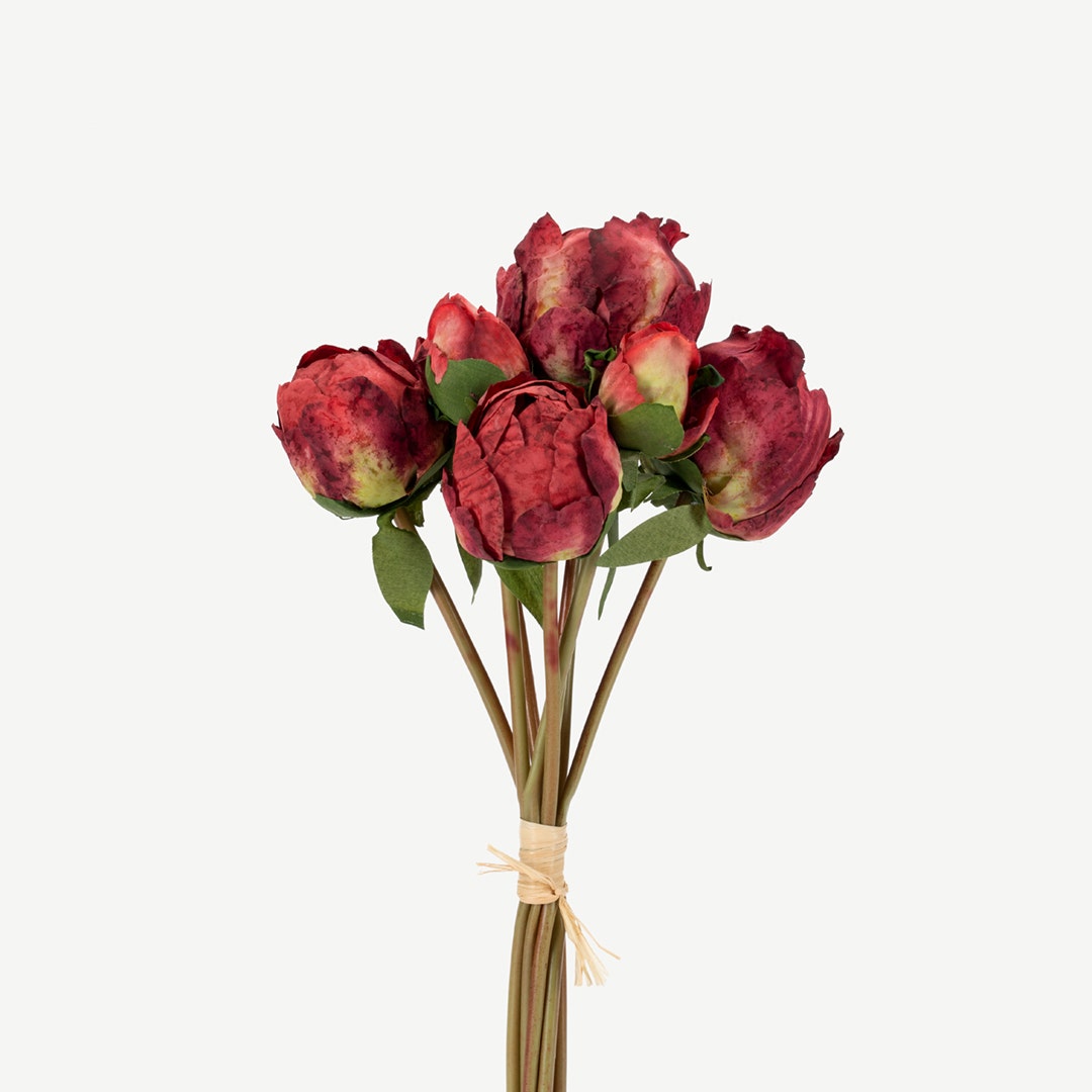 Peony Silky Bunch With 9 Buds