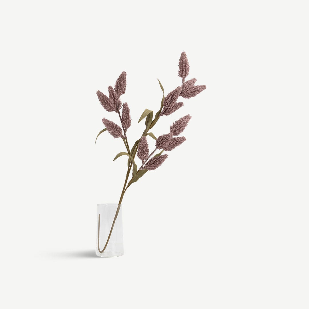 Phoenix Tail Flower - Lilca