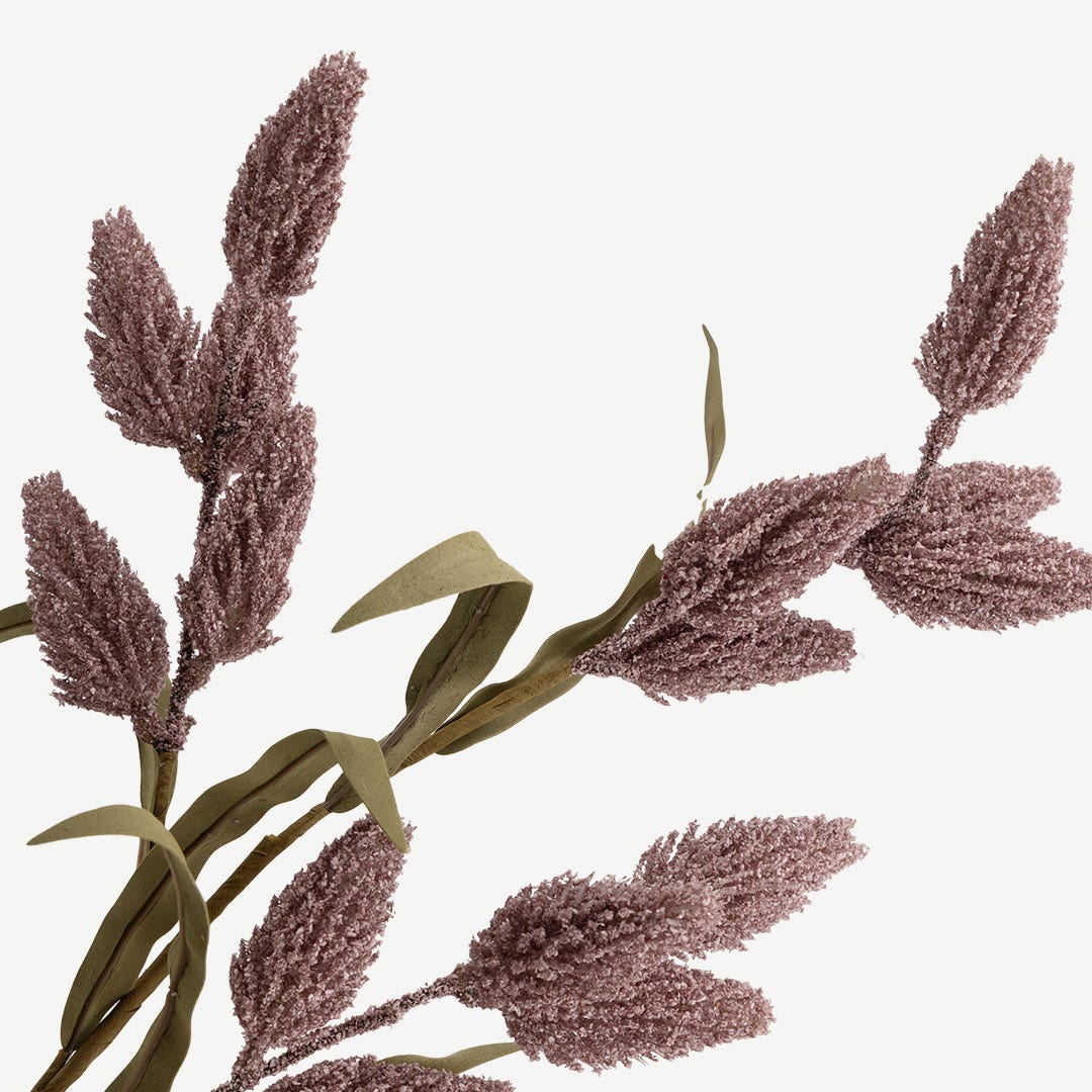 Phoenix Tail Flower - Lilca