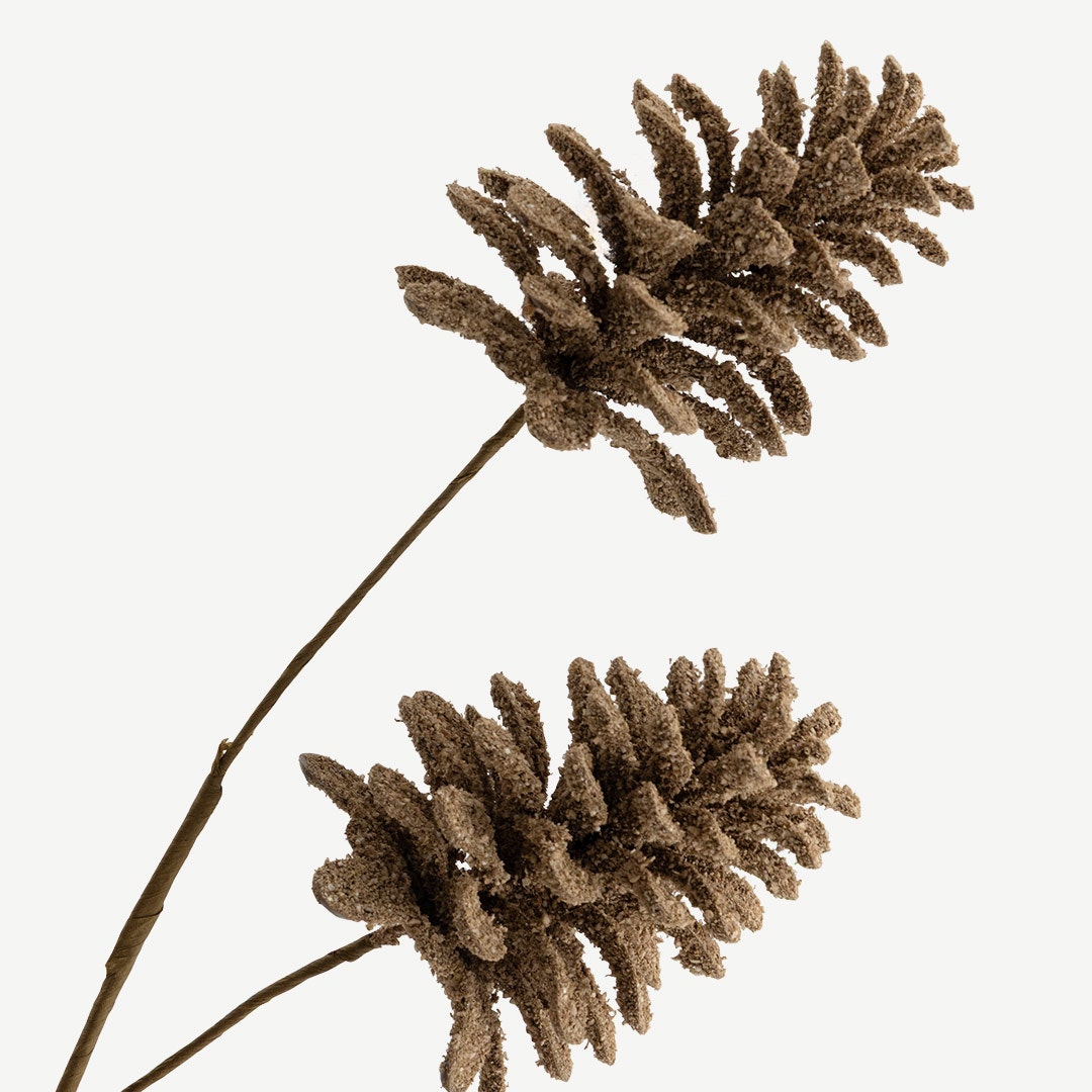 Pincone Stem - Brown