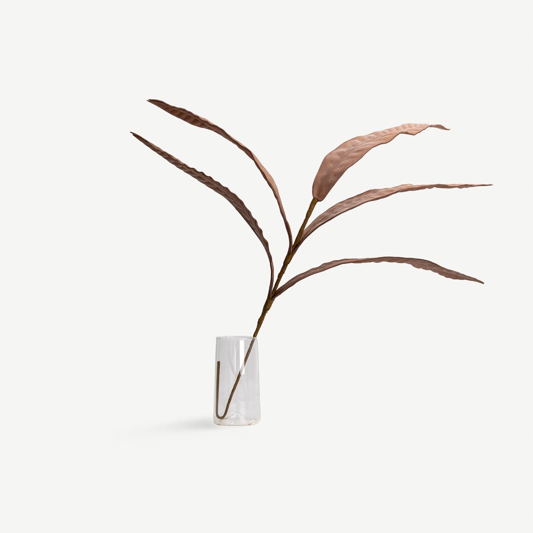 غصن نبات البليوني - وردي