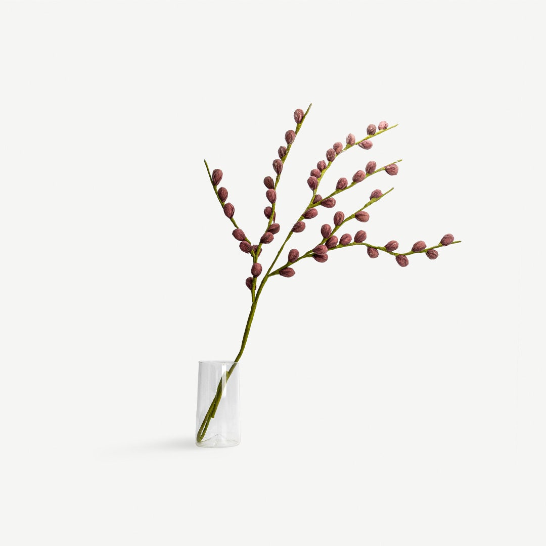 زهر البرقوق – رمادي بني