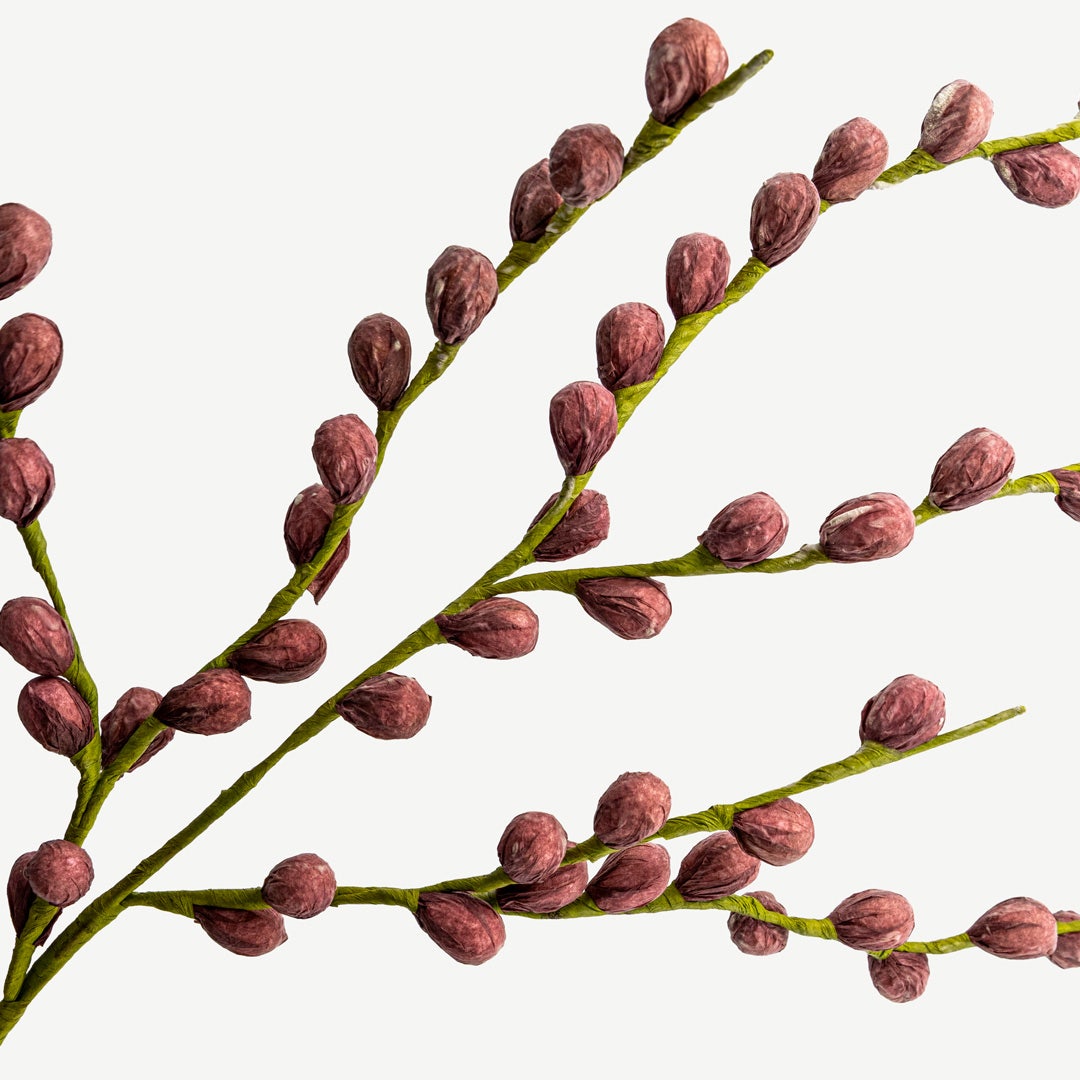 زهر البرقوق – رمادي بني