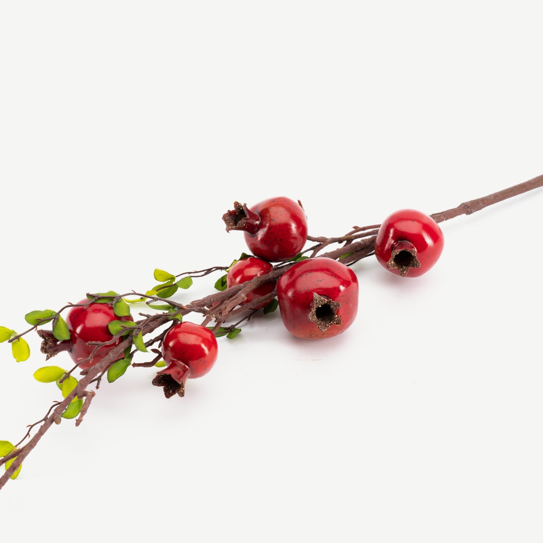 Pomegranate Bunch Red