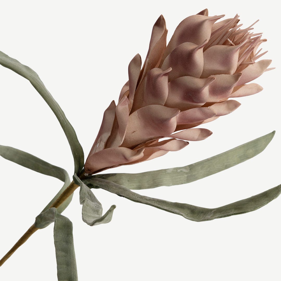 Protea Stem - Pink