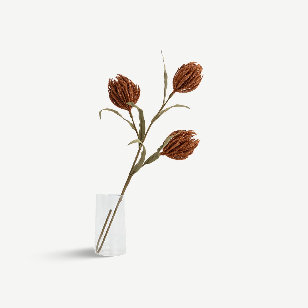 ساق بروتيا - تيراكوتا