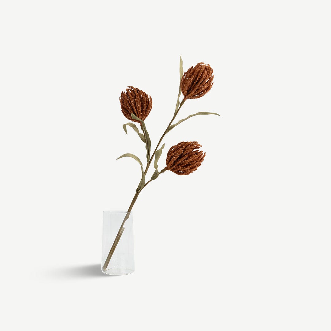 ساق بروتيا - تيراكوتا