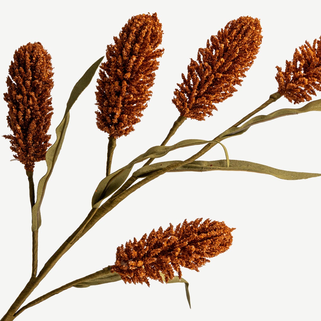 فرع نبات أرز - تيراكوتا