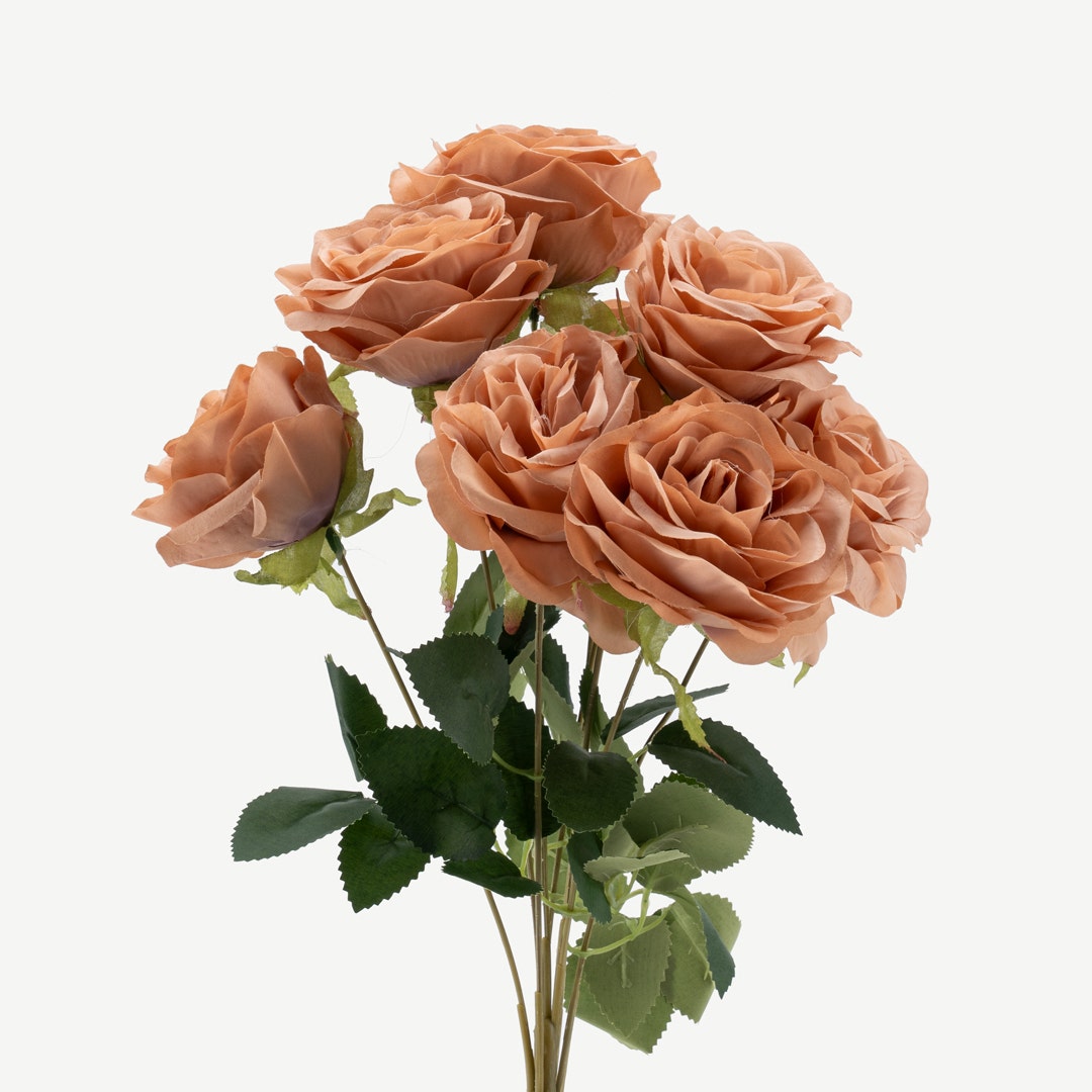 Rose Bouquet -Cream