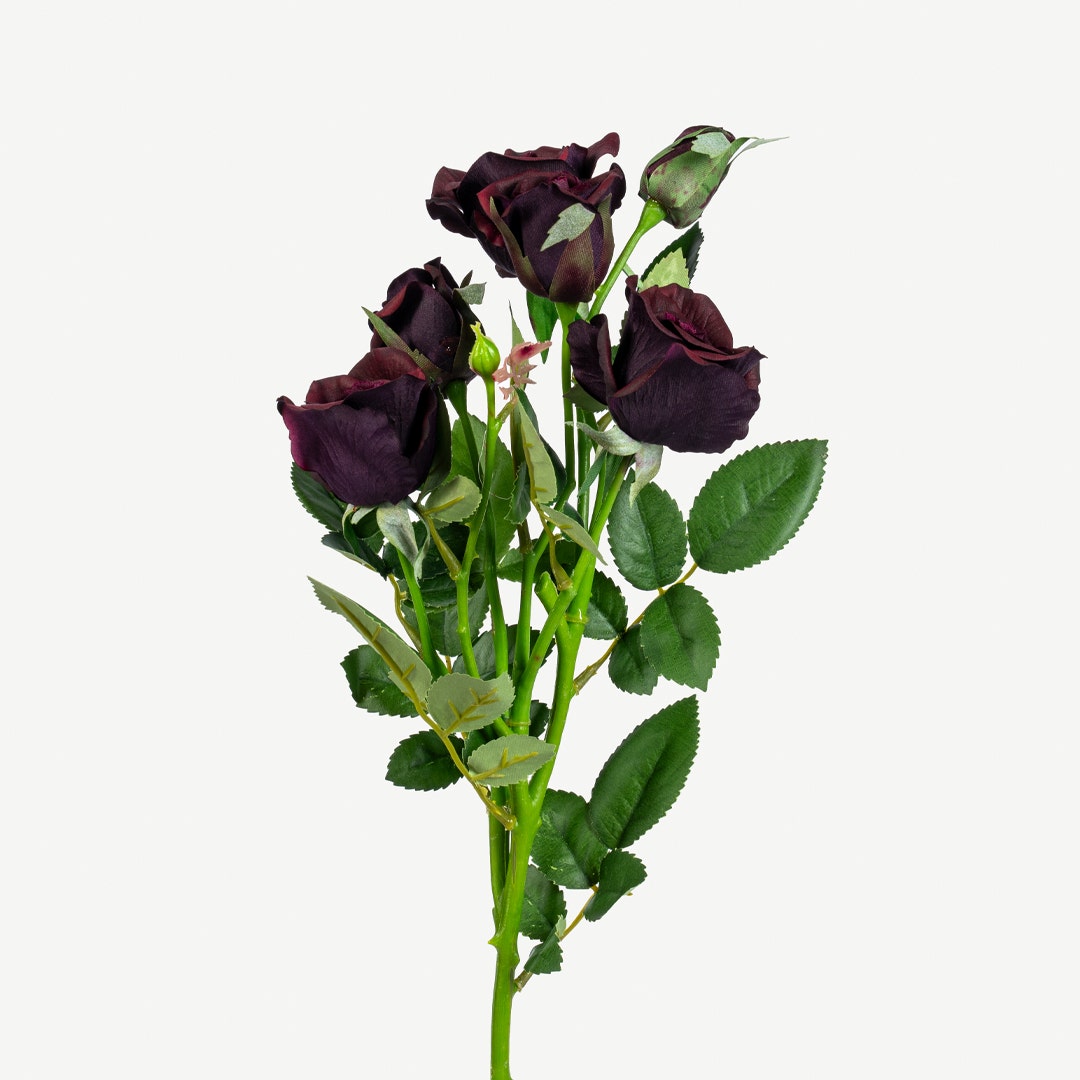 Rose Flower Set Maroon