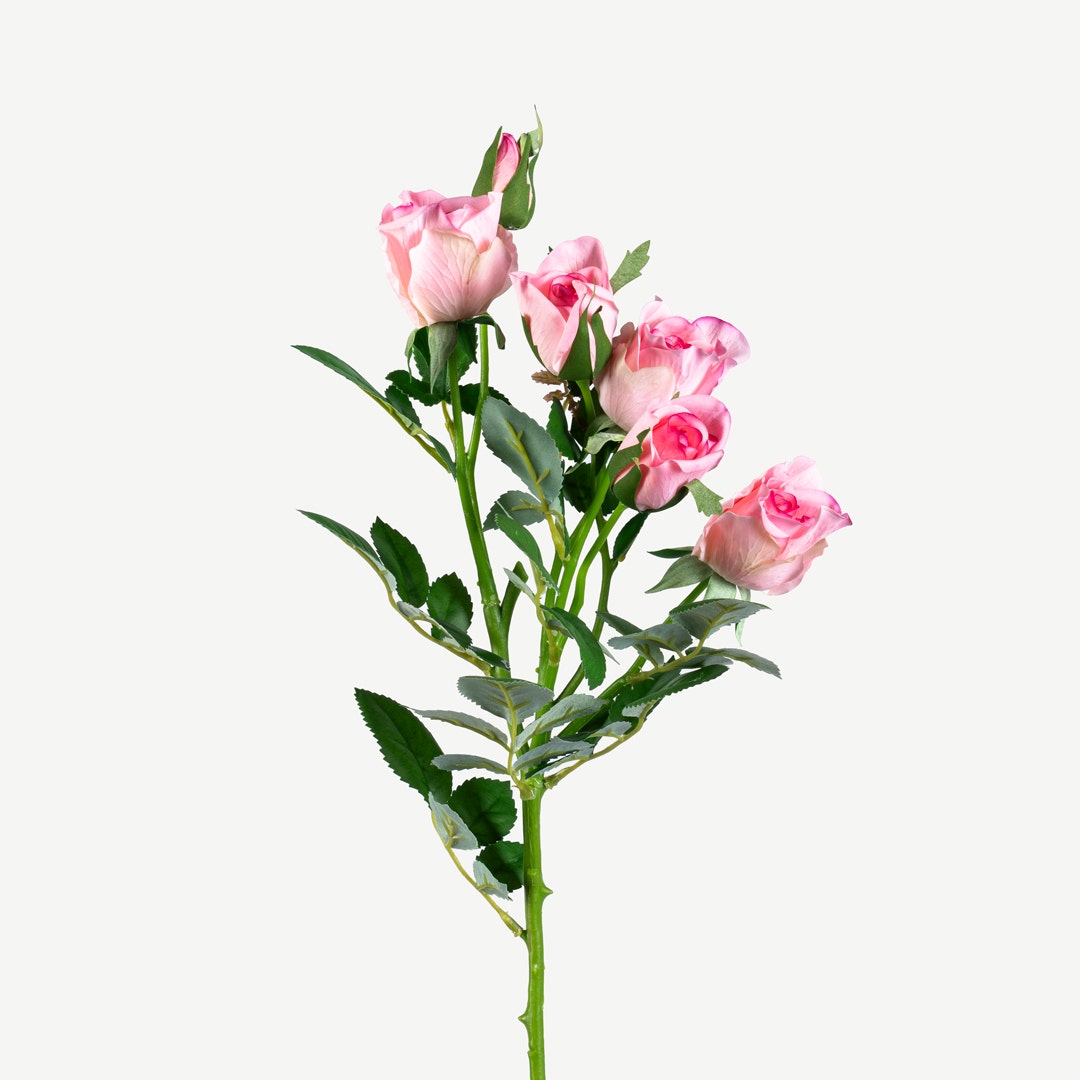 Rose Flower Set Pink