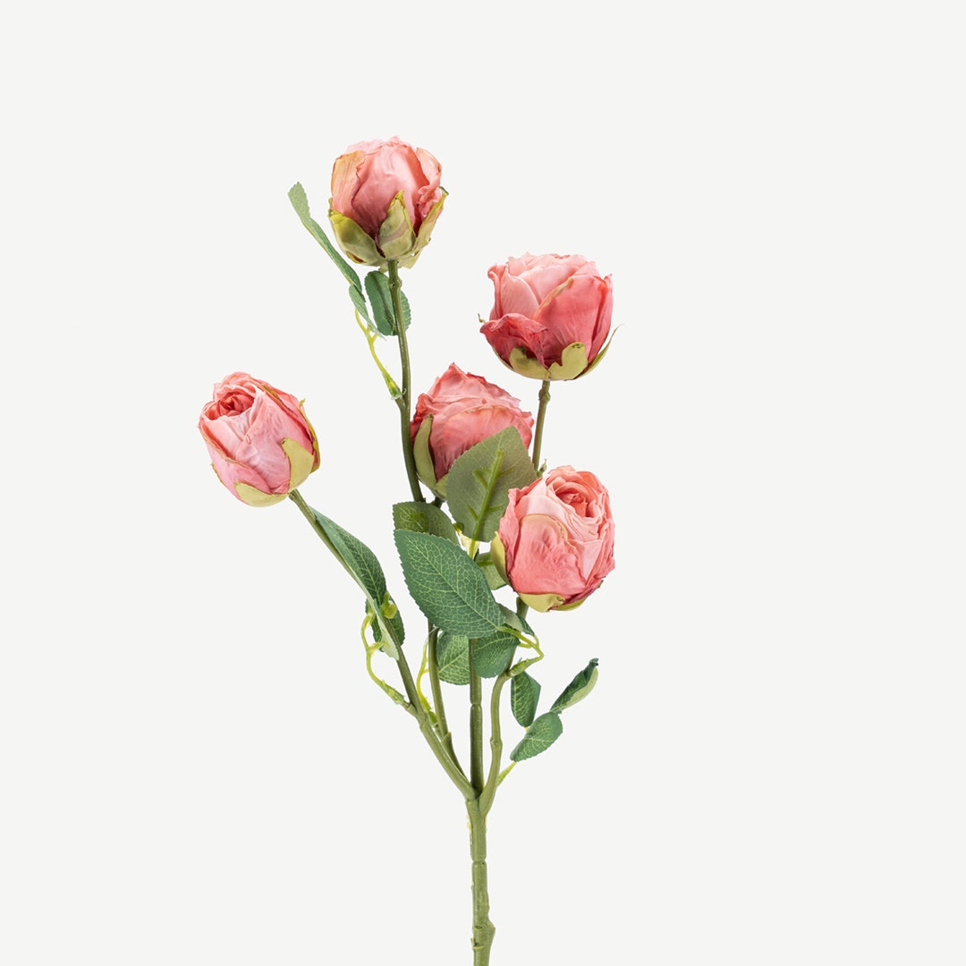 Rose Silky Bunch With 5 Buds