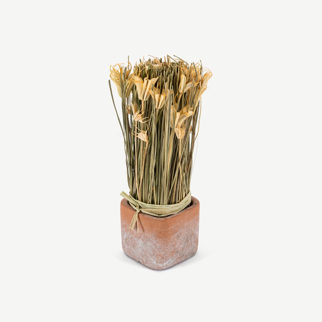 Rula Dried Harvest Arrangement In Pot