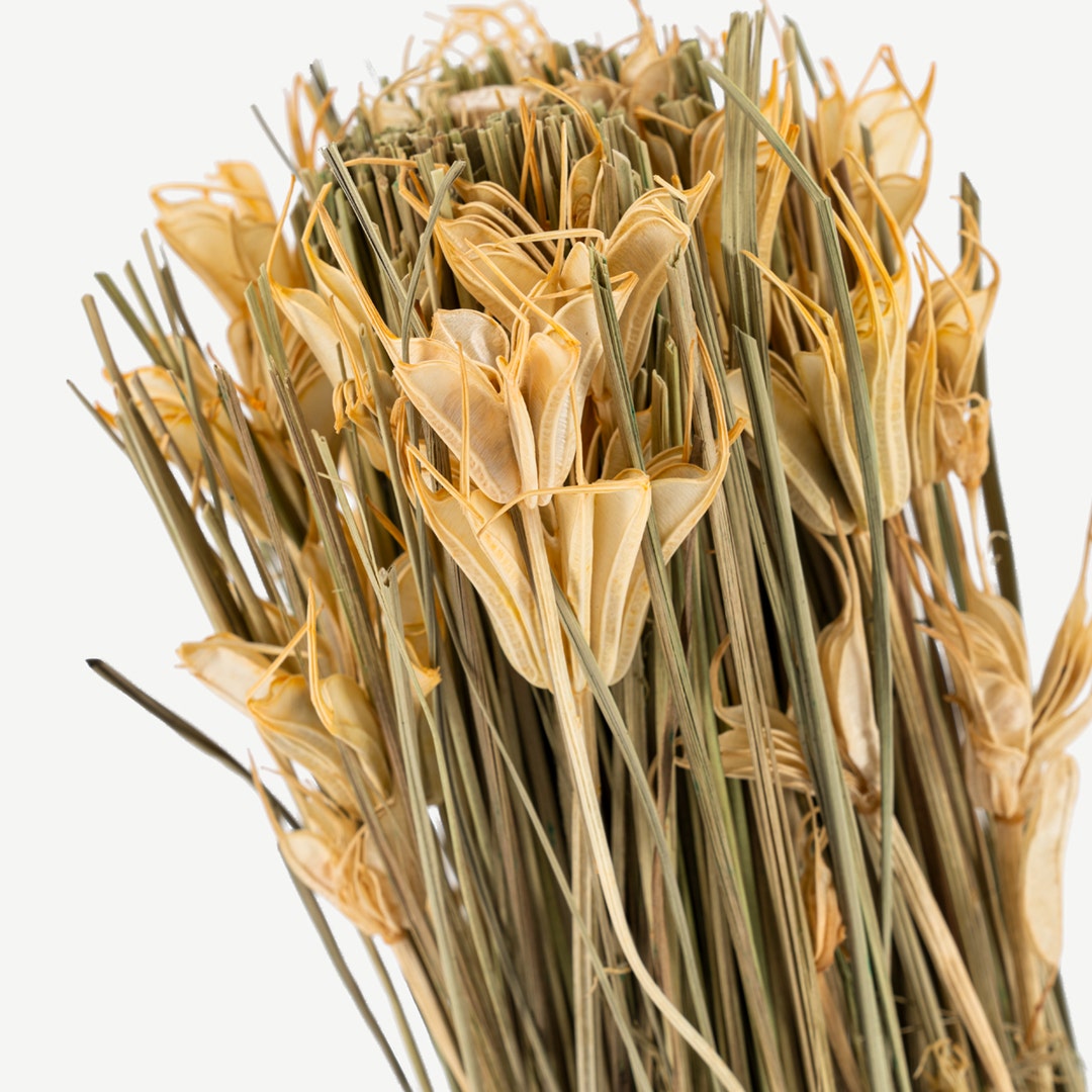 Rula Dried Harvest Arrangement In Pot