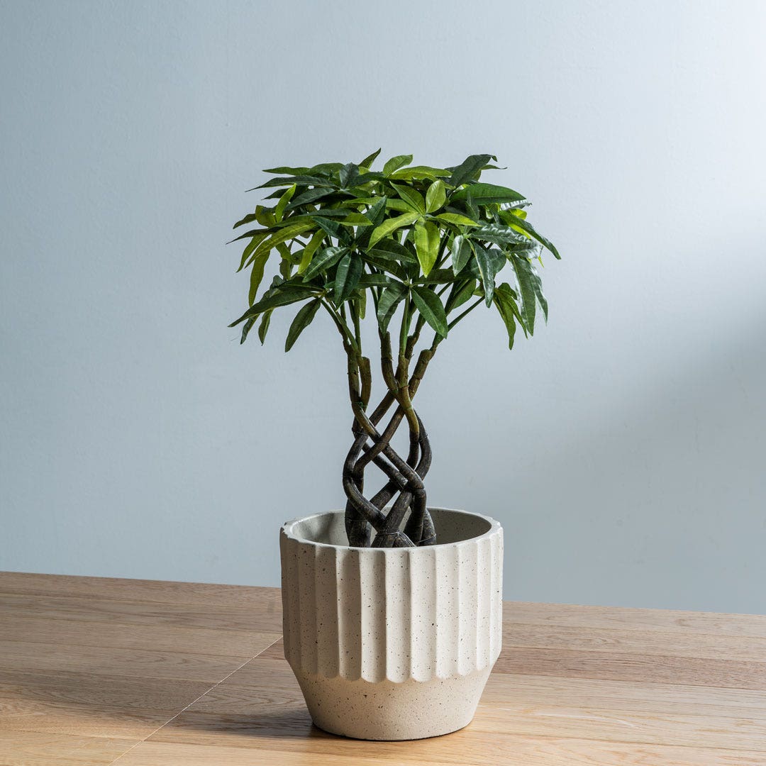 Sofina Planter