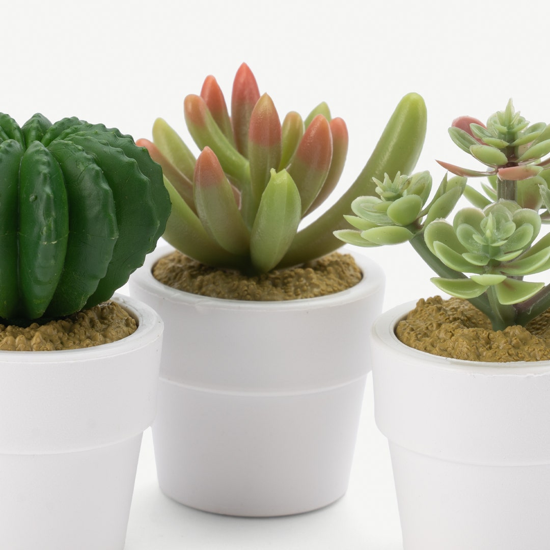 باقة ورد - خوخ