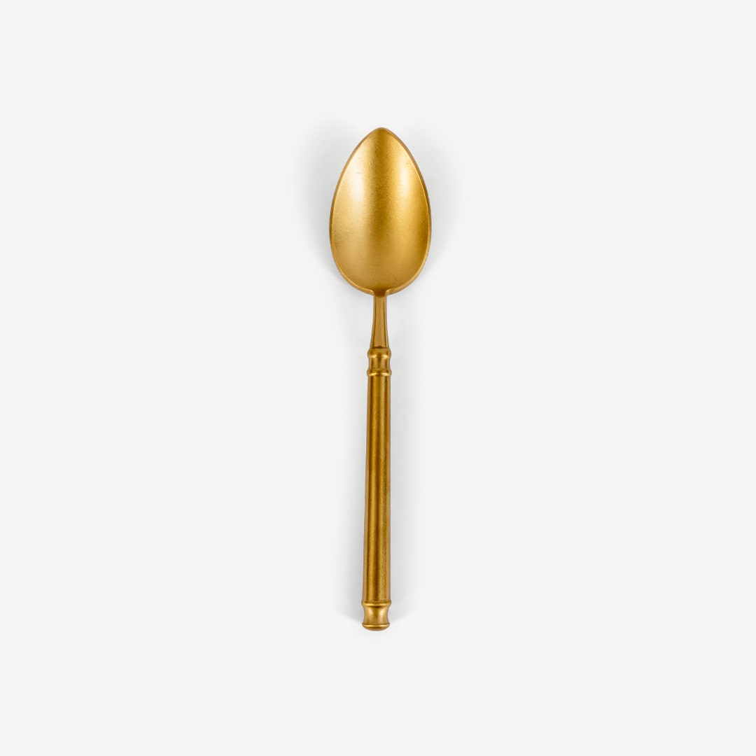 Tierra Dinner Spoon 20x3x3cm