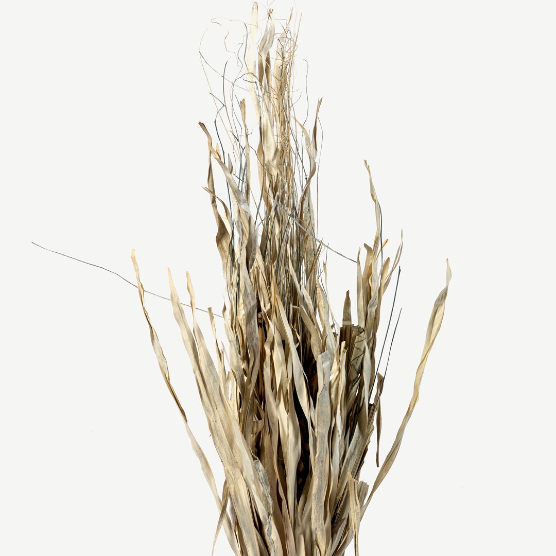 تولاني باقة نبات مجفف - رمادي