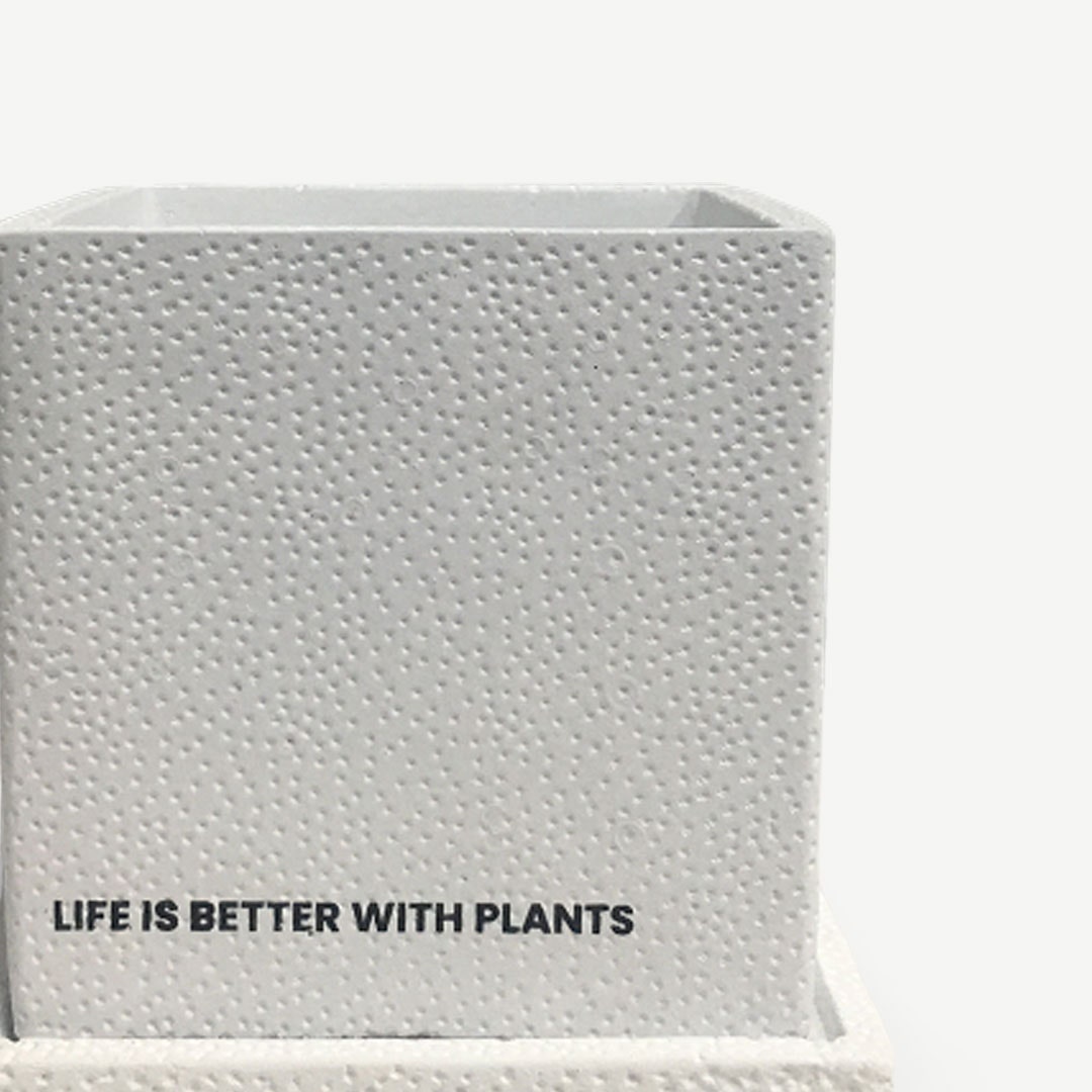 Turner Cement Planter White 11x12.5cm
