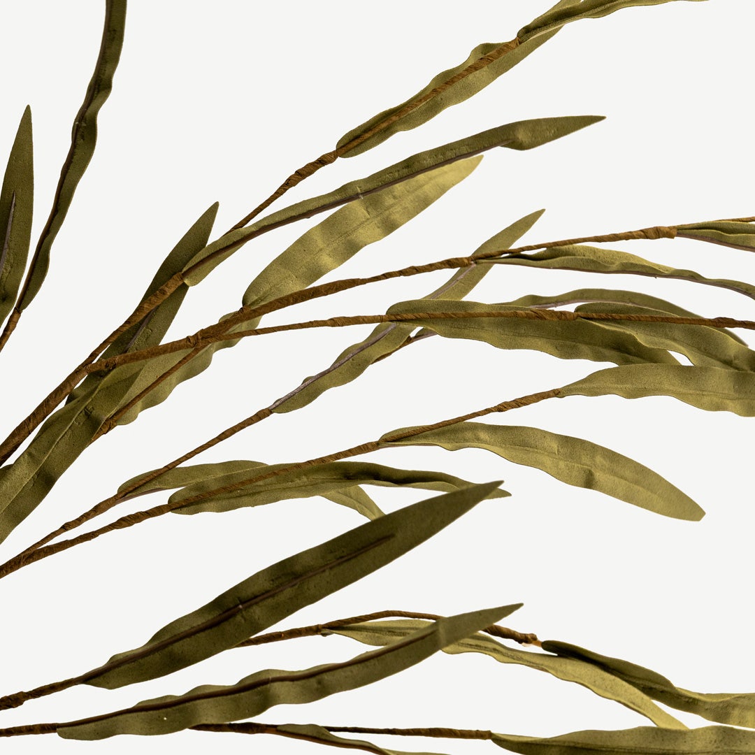 Willow Leaves - Green